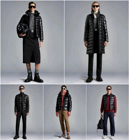 高奢服飾品牌盟可睞moncler全面入駐京東 首發新品520系列